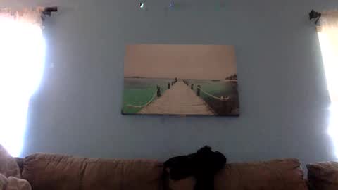 Snapshot of dickandjane0409 chatting on November 8, 8:07 pm mario juliet online show from November 8, 8:07 pm