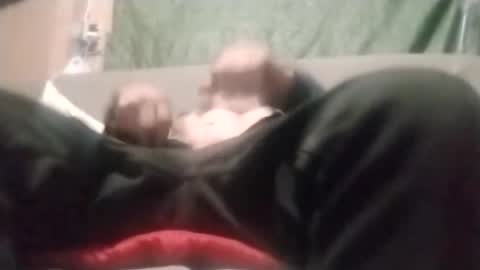 Snapshot of dickbowen64 chatting on January 13, 12:32 pm Dickbowen online show from January 13, 12:32 pm