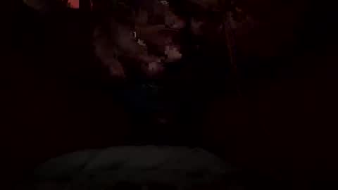 dickdynamics online show from January 13, 6:40 am