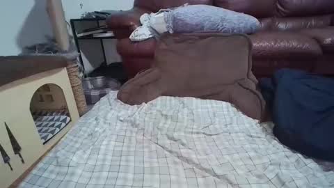 dickslayerdan online show from November 22, 12:31 am