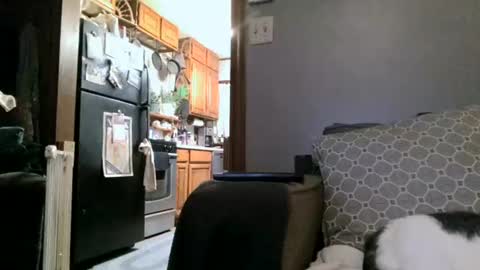 Snapshot of dickwack4u chatting on January 4, 4:01 am dickwack4u online show from January 4, 4:01 am