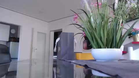 Snapshot of didiegal1 chatting on January 11, 10:42 am squirtcock online show from January 11, 10:42 am