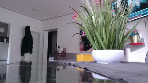 Snapshot of didiegal1 chatting on February 2, 12:48 pm squirtcock online show from February 2, 12:48 pm