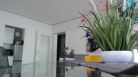 Snapshot of didiegal1 chatting on February 16, 9:38 am squirtcock online show from February 16, 9:38 am