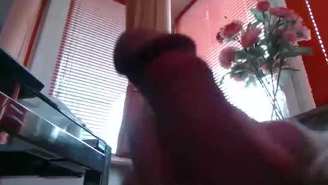 Snapshot of didiegal1 chatting on February 24, 9:07 am squirtcock online show from February 24, 9:07 am