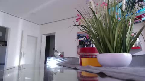 Snapshot of didiegal1 chatting on March 2, 9:16 am squirtcock online show from March 2, 9:16 am