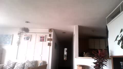 Snapshot of diego_incubo_ii chatting on July 15, 4:34 pm diego_incubo_ii online show from July 15, 4:34 pm