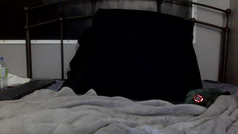 digbicknik online show from February 26, 12:47 pm