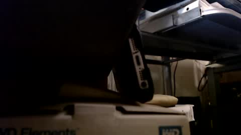 Snapshot of digbird1 chatting on January 13, 1:13 am dbNorth online show from January 13, 1:13 am