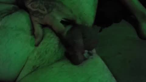 Snapshot of dikkdixon chatting on February 28, 3:57 pm dikkdixon online show from February 28, 3:57 pm