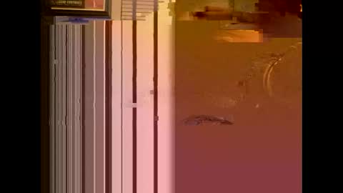 dildosnme22 online show from January 13, 11:08 am