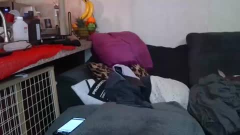 Sofie online show from December 19, 2:35 pm