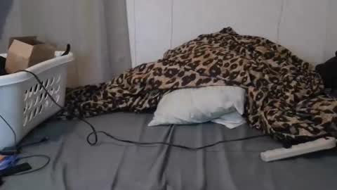 Sofie online show from January 16, 6:28 am