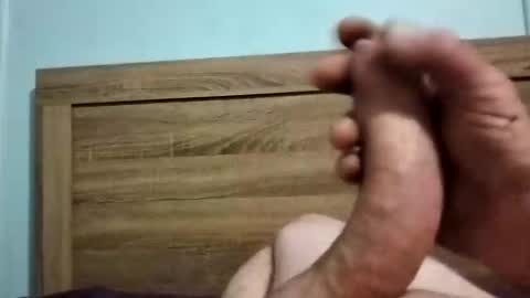 dingo_250 online show from September 28, 1:38 pm