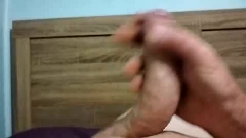 dingo_250 online show from October 6, 12:35 pm