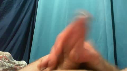 dingo_250 online show from October 15, 1:33 pm