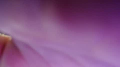 Dirty Kiss69 online show from February 17, 11:31 pm