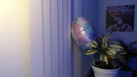 Hera online show from November 26, 10:05 am