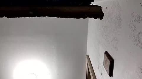 Snapshot of dixonbird41 chatting on February 18, 3:54 pm dixonbird41 online show from February 18, 3:54 pm