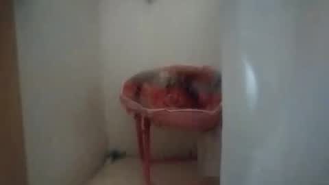 Snapshot of dixonbird41 chatting on October 6, 10:12 am dixonbird41 online show from October 6, 10:12 am