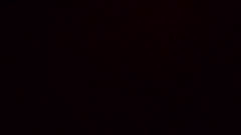 dixonbird41 online show from April 9, 11:59 am