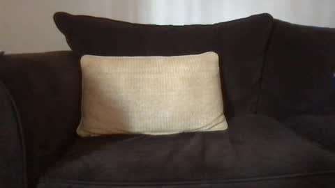 Dizzydig online show from January 25, 5:08 pm