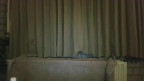 djensenhc online show from January 11, 11:32 pm