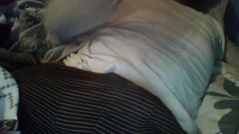 Alex online show from December 3, 8:56 am