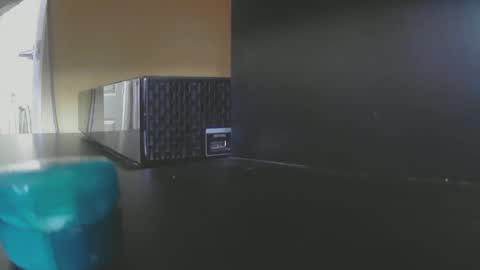 Snapshot of doggyboydon chatting on February 2, 10:46 am Lucas online show from February 2, 10:46 am