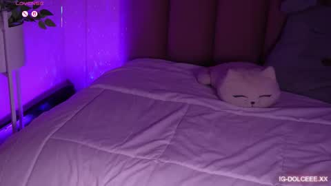 Dolcexx online show from January 13, 8:03 pm