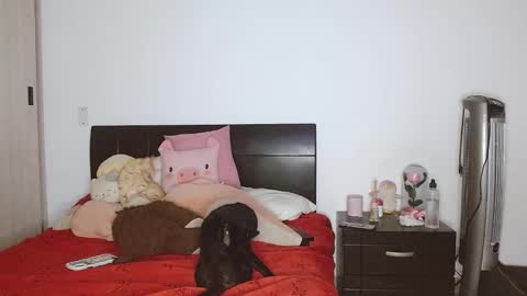 Auro and Santiago online show from February 24, 3:55 am