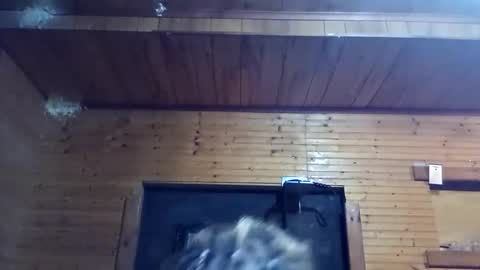 dollface_89 online show from September 29, 3:00 am