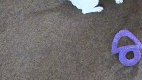 Snapshot of dollniki chatting on October 29, 10:06 am Niki Doll online show from October 29, 10:06 am