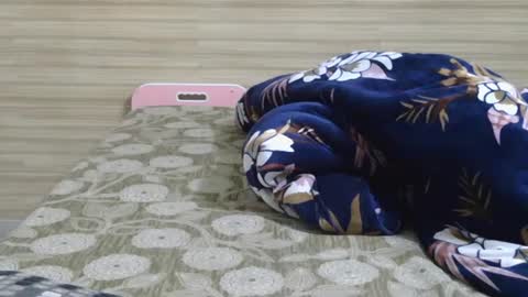 dolly_2 online show from February 6, 10:04 am