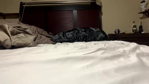 Snapshot of dolphin22356 chatting on January 11, 6:45 am Ben Dover online show from January 11, 6:45 am