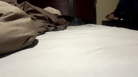 Snapshot of dolphin22356 chatting on January 17, 9:17 am Ben Dover online show from January 17, 9:17 am