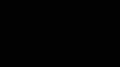 domenica online show from December 16, 12:21 pm