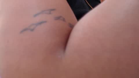 domenica online show from February 28, 12:17 pm