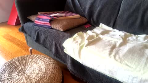 Alfredo online show from January 15, 9:02 am