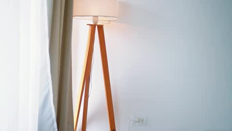 Donatella online show from January 13, 11:37 am