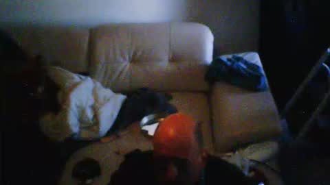 donosus online show from February 28, 10:05 am