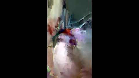 doogie215 online show from March 3, 12:50 am