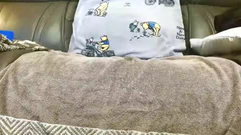 LuvmycockTS69 online show from November 14, 3:16 am