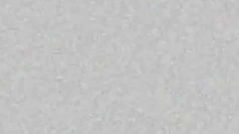 menu  below online show from April 12, 8:19 am