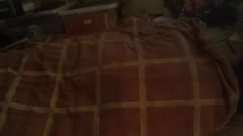 Snapshot of dorsetbiker714 chatting on December 29, 10:01 am Hello  welcome to Slutsville  I am the Naked Chef  really  but you may call me Peter online show from December 29, 10:01 am