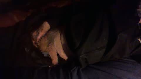 Hello  welcome to Slutsville  I am the Naked Chef  really  but you may call me Peter online show from January 8, 6:32 pm