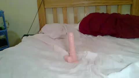 Snapshot of dottletop chatting on February 5, 8:21 am dottletop online show from February 5, 8:21 am