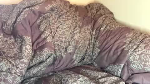 dove_love22 online show from October 22, 6:18 pm