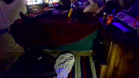 Driver Dick  Kylie Tits online show from February 9, 5:00 am