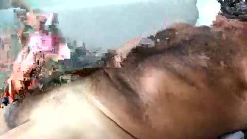 dpbbb online show from November 15, 10:23 am